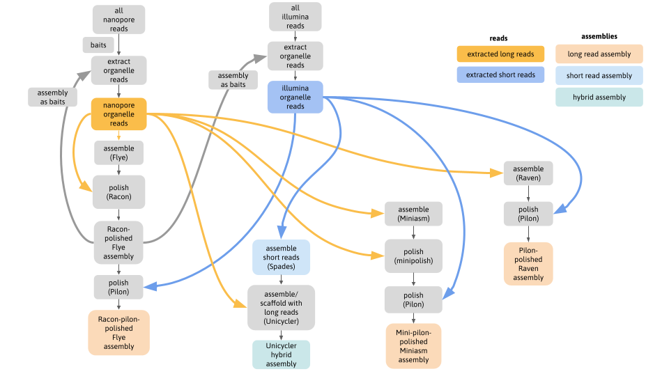 flowchart