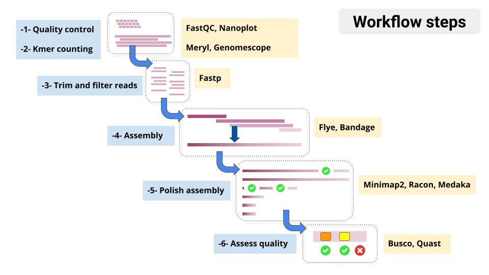 workflows